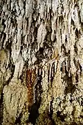 Stalactites with spikes