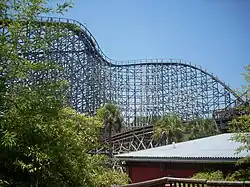 The lift hill of the lion track as it ascends 105.4&nbsp;ft (32.1&nbsp;m) and turns to the right towards the 91.8&nbsp;ft (28.0&nbsp;m) drop. Pieces of track and tree foliage circumnavigate in the foreground.