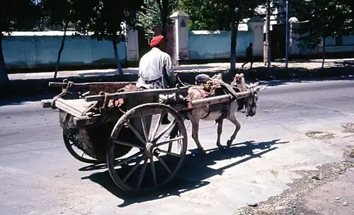 Donkey and cart (Uzbekistan, 1964)