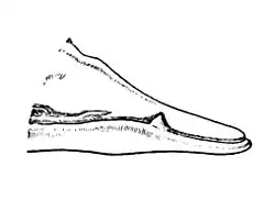 Adult male head, showing teeth