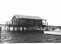 Hendrickson Fish Cabin at Captiva Rocks
