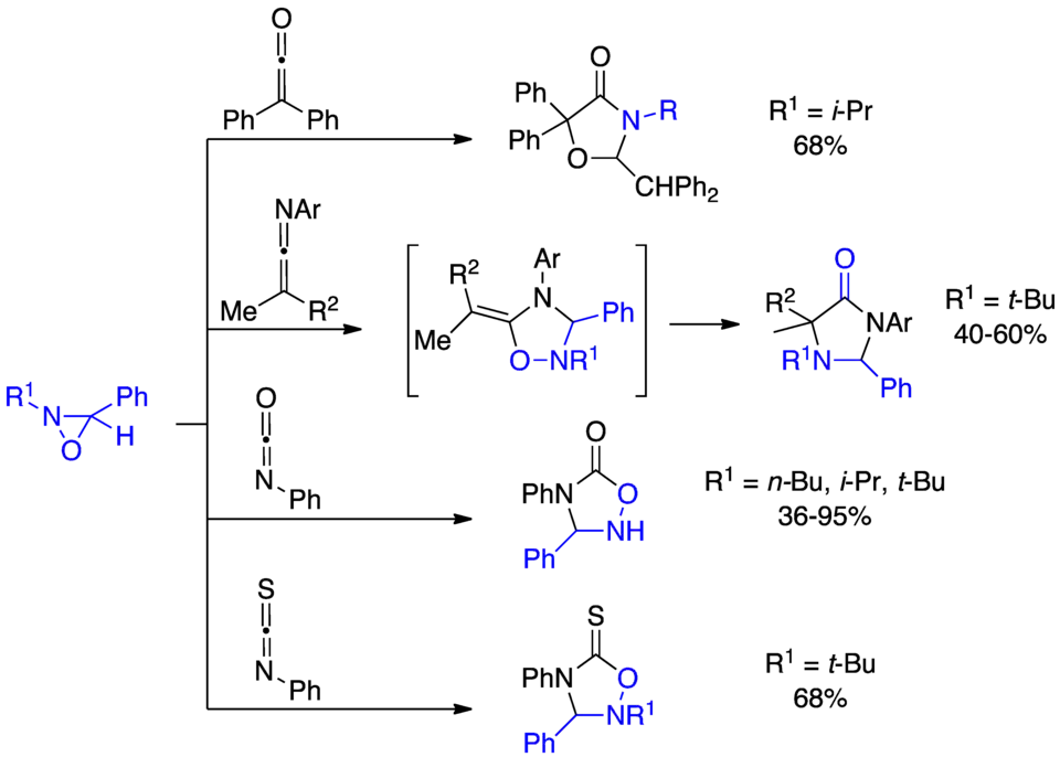 Electrocyclic reactions of oxaziridines and heterocumulenes