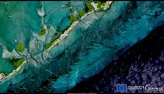 coral reef bleaching observed in a satellite image in the Florida Keys archipelago over Islamorada, showing a long chain of whitened coral reefs South of the island.