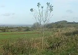 Large univallate hillfort with a bowl barrow and pillow mounds 970 m west of The Bungalow