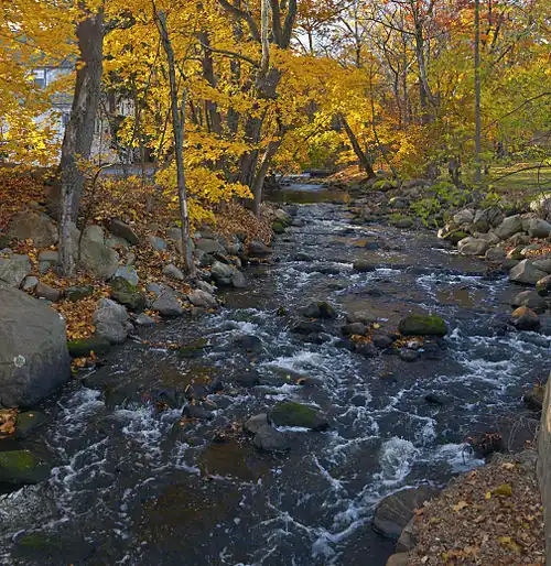 A stream with some rapids and rocks flows along a curved section between rocky shores with autumn leaves on the trees sheltering it