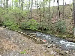 Hog Waller Creek behind Waller Park