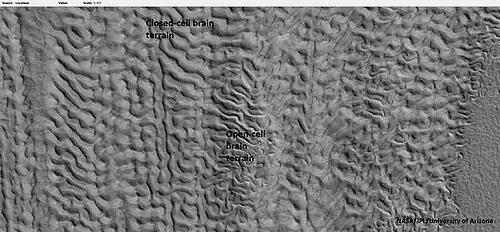 Open- and closed-cell brain terrain, as seen by HiRISE, under HiWish program.