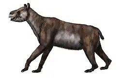 Huilatherium pluriplicatum