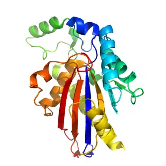 A cartoon of the tertiary structure of TIGAR