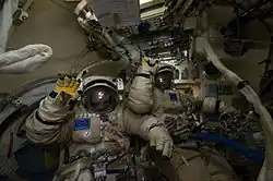 Malenchenko and Volkov