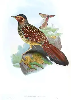 Artist's Illustration