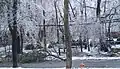 Ice storm topples trees on to roadway and power lines in Tinton Falls, New Jersey, on Valentine's Day 2007.