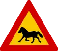 Watch for horses