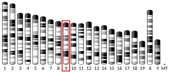 Chromosome 9 (mouse)