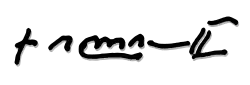Ilia II's signature