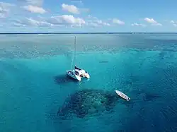 Flora, Fauna and landscapes from The Thirteen Islands of St. Brandon.