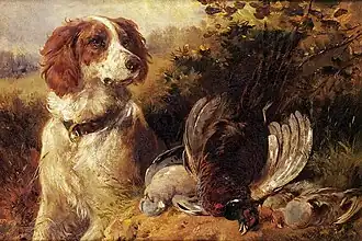 In the Field - A Spaniel (1883)