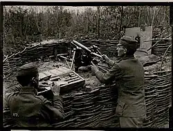 M15 with its tail folded forward in a trench.