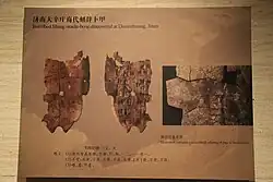 museum poster showing both sides of a plastron