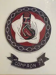 Insignia Navy Squadron VC-7