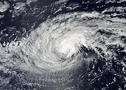 A photograph of a tropical storm over the Eastern Pacific Ocean; it has an oblong shape, much wider horizontally than vertically, though it does have an overall well-organized cloud pattern with multiple spiral bands and a thick area of convection near the center. This storm has some of the same outflow characteristics described in the previous photograph, although these thin streaks are jutting out to the bottom instead of the left.