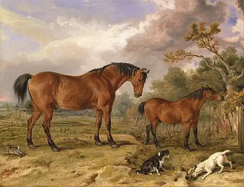 Reformer, Blucher, Tory and Crib by James Ward