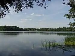Kucki Lake