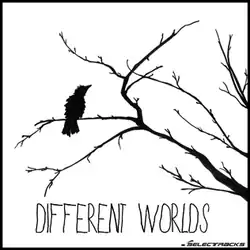 A black-and-white illustration of a bird sitting on a branch of a bare tree. The title "Different Worlds" is written at the bottom, and the logo of Selectracks is displayed in the bottom-right corner.