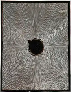 Lacerta Simonyi (Turned)