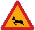 Wild animals crossing