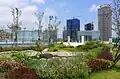 Rooftop garden
