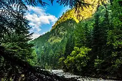 Parvati River, Kasol