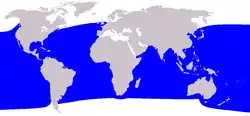 Pygmy sperm whale range