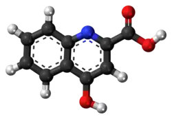 Ball-and-stick model of kynurenic acid