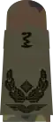 Oberstabsapotheker (Air Force Pharmacy Officer with the equivalent rank of Major)