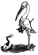 Lampoon's Ibis Mascot c. 1888