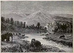 Pliocene at the beginning of humans