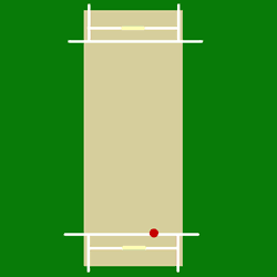 A colour animation showing the trajectory of a left-arm wrist spin delivery
