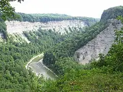 Genesee River Canyon downstream of the falls