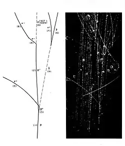 Liquid hydrogen bubble chamber photograph of an anti-proton colliding with a proton