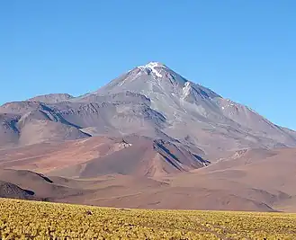 A brown mountain with a white summit rises above low yellow vegetation, in a cloudless sky