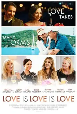 A poster featuring three comic-style panels from top to bottom. The first two feature a different couple smiling while the third features a group of four women sitting at a dinner table. The tagline for the poster is "Love takes many forms."