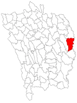 Location in Vaslui County