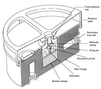 Cross-sectional view of an M4 mine showing the detonator and adjacent booster charge surrounded by the main explosive charge of TNT