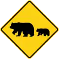 Migrating Bears SW59(CA)