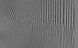 Magnetic domains and domain walls in oriented silicon steel (image made with CMOS-MagView)