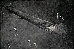 Most deep-sea fish cannot see red light. The deepwater stoplight loosejaw produces red bioluminescence so it can hunt with an effectively invisible beam of light.[45]