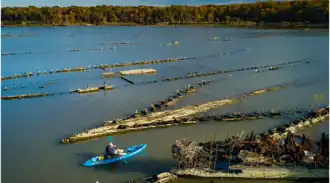 A man in a kayak paddling between shipwrecks