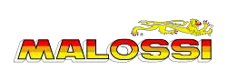 Malossi company logo