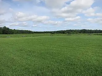 Photo shows five 12-pounder Napoleon guns facing toward across open fields.